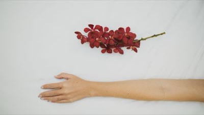 Amour durable : cultiver le lien au-delà de l'étincelle initiale