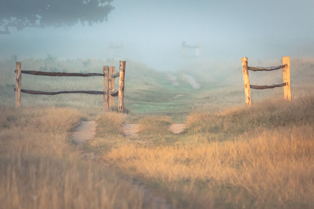 A path forward after emotional difficulty