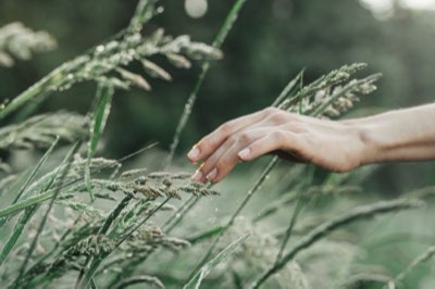 90 Segundos para Salvar o Relacionamento: Valide o Sentimento