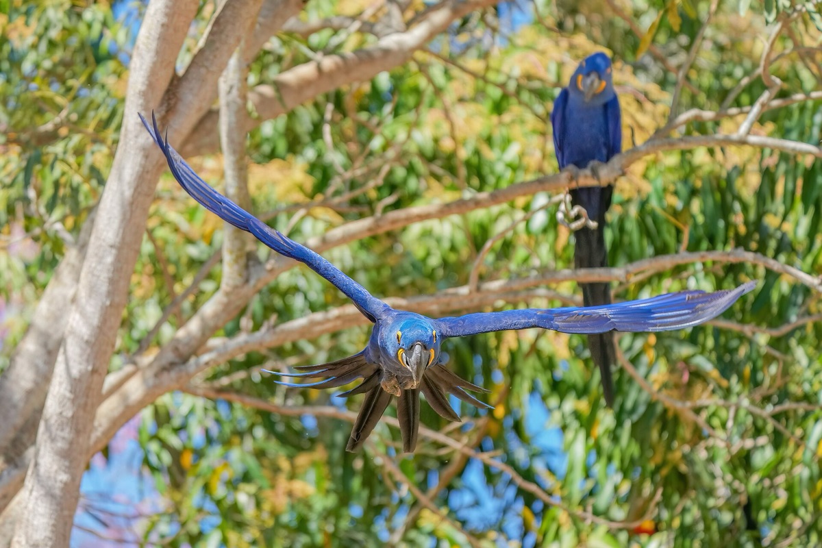 pareja en un parque