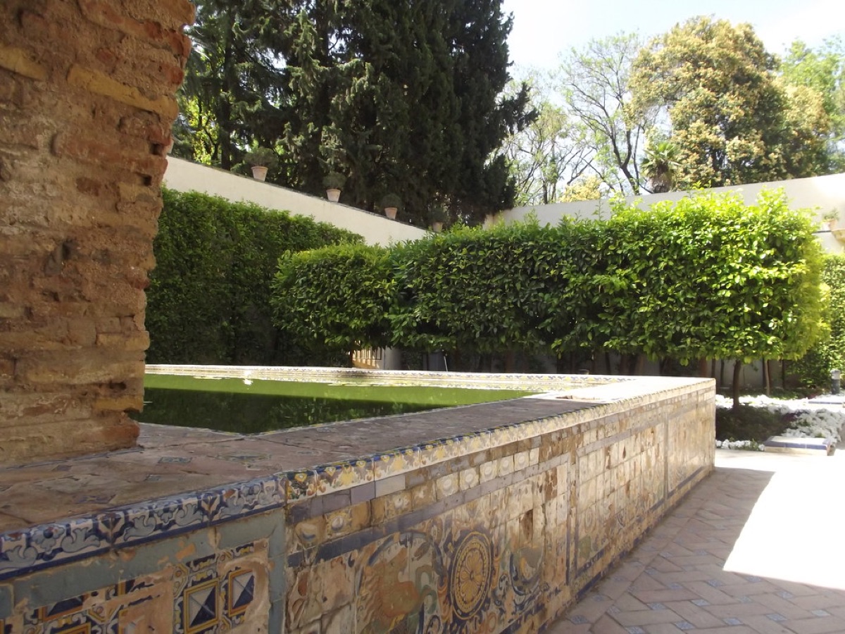 giardino con fiori